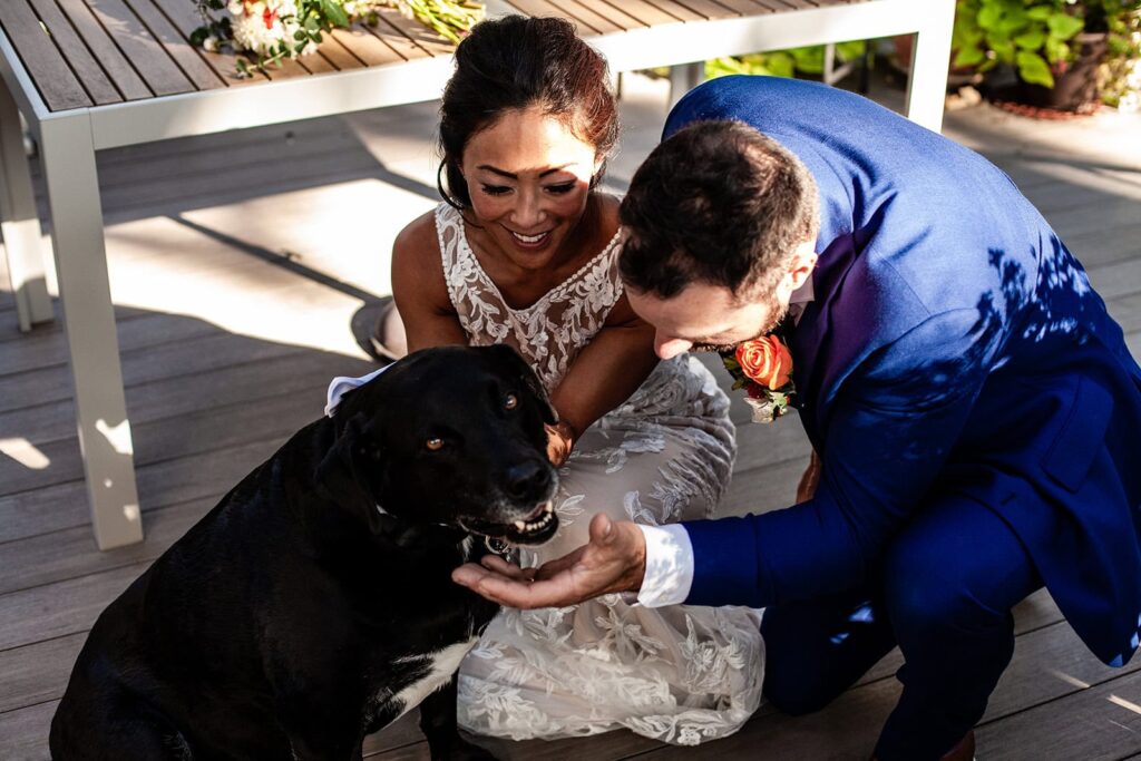 candid photo of bride and groom fussing their black lab during backyard wedding