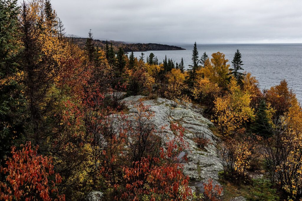 north shore proposal location in autumn
